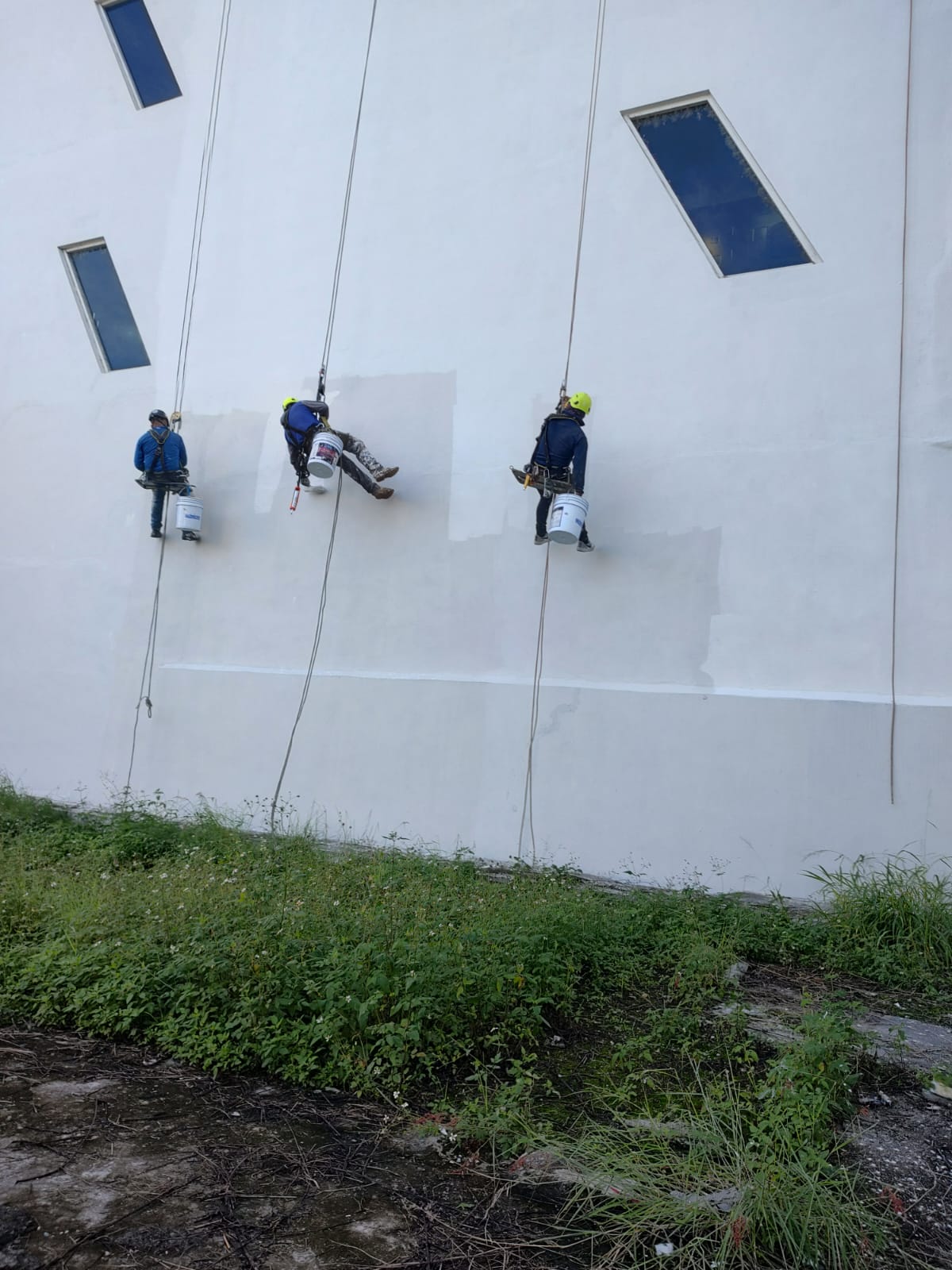 Trabajo en Equipo Especializado