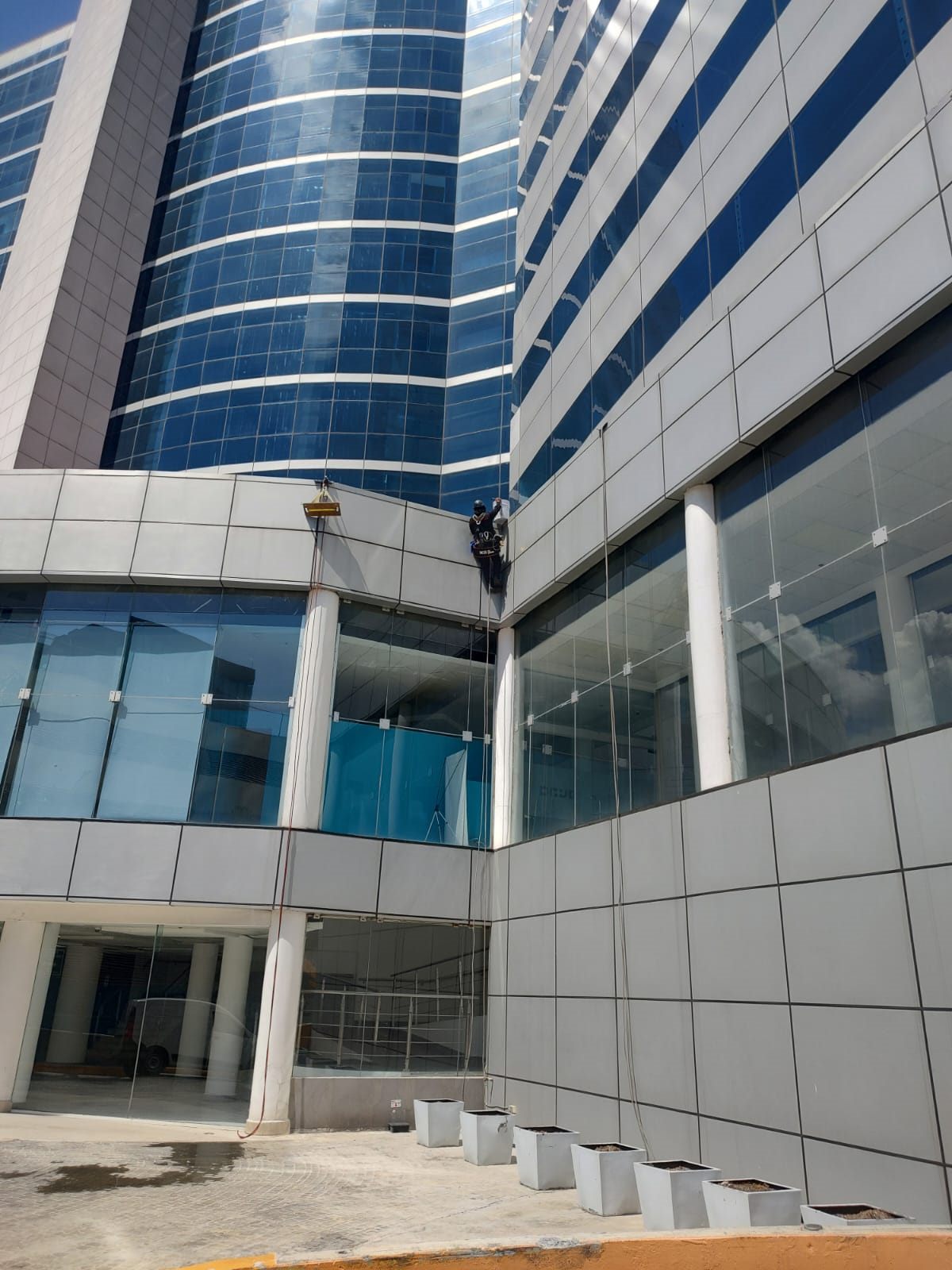 Persona con casco trabajando en cuerdas sobre una fachada de cristal